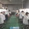 涨薪啦,欧格斯又涨薪啦!综合工资4300-5000元/月