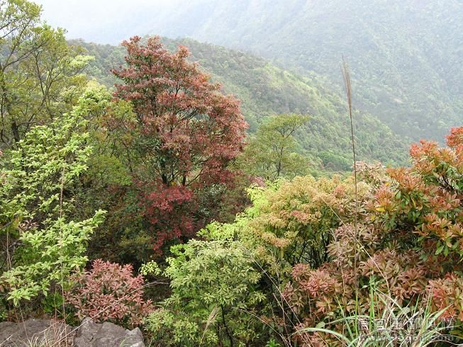 IMG_0889.JPG