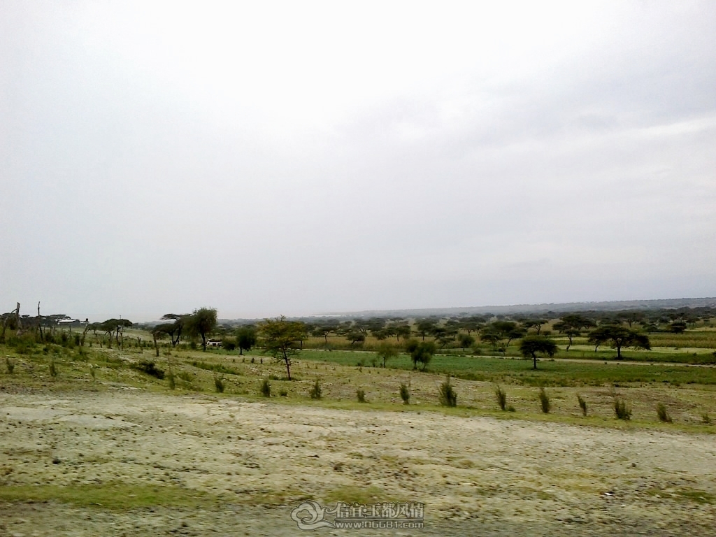 201109231077.jpg