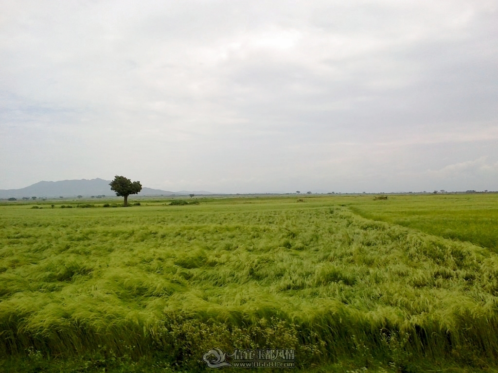 201109231134.jpg