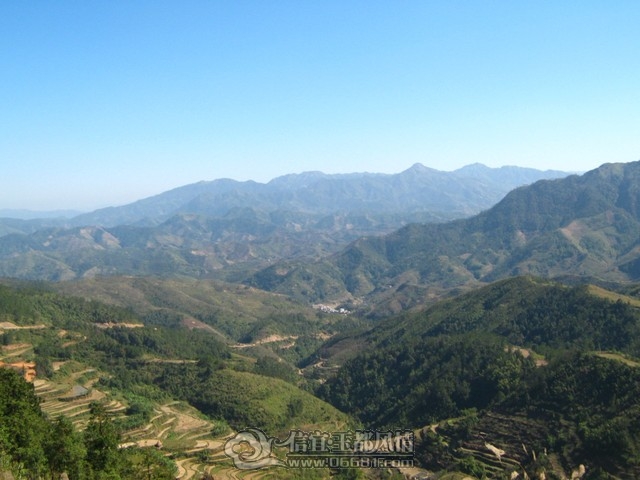 IMG_4438.JPG