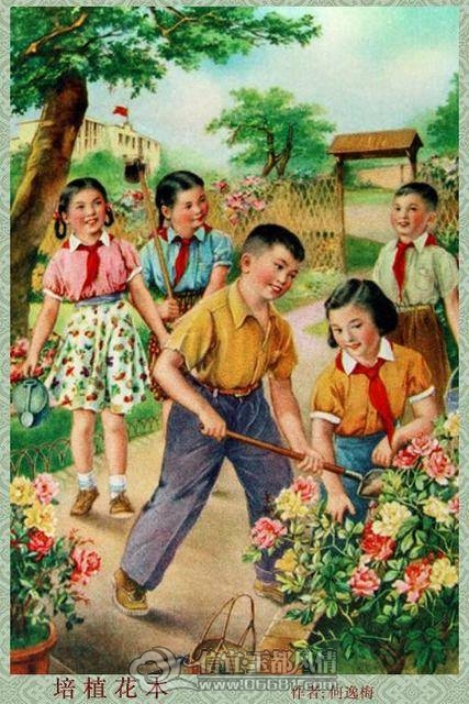 20122170_50.jpg