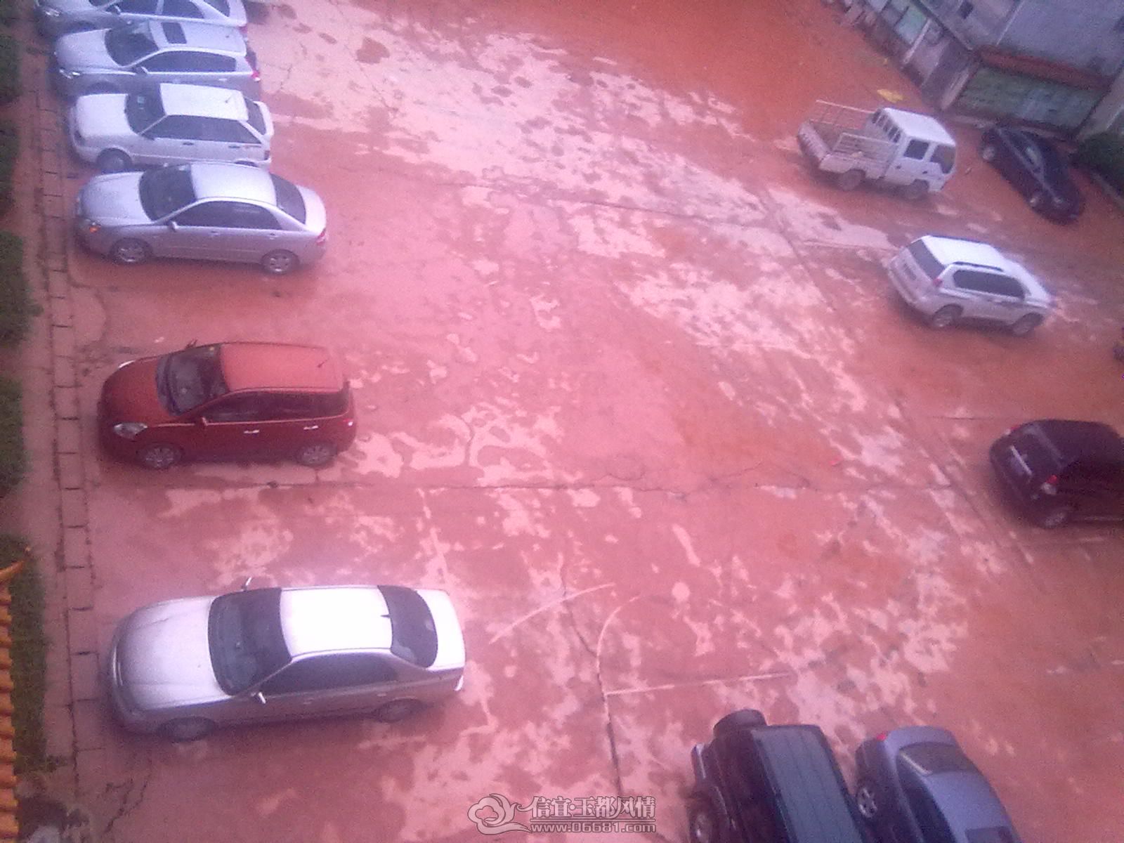 20120428219.jpg