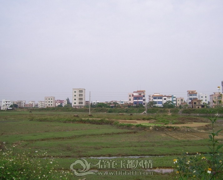 106.JPG