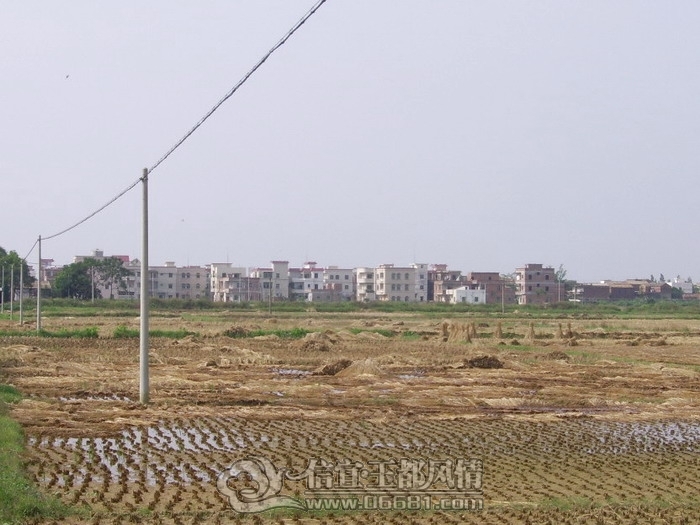115.JPG