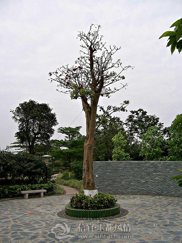 947.jpg