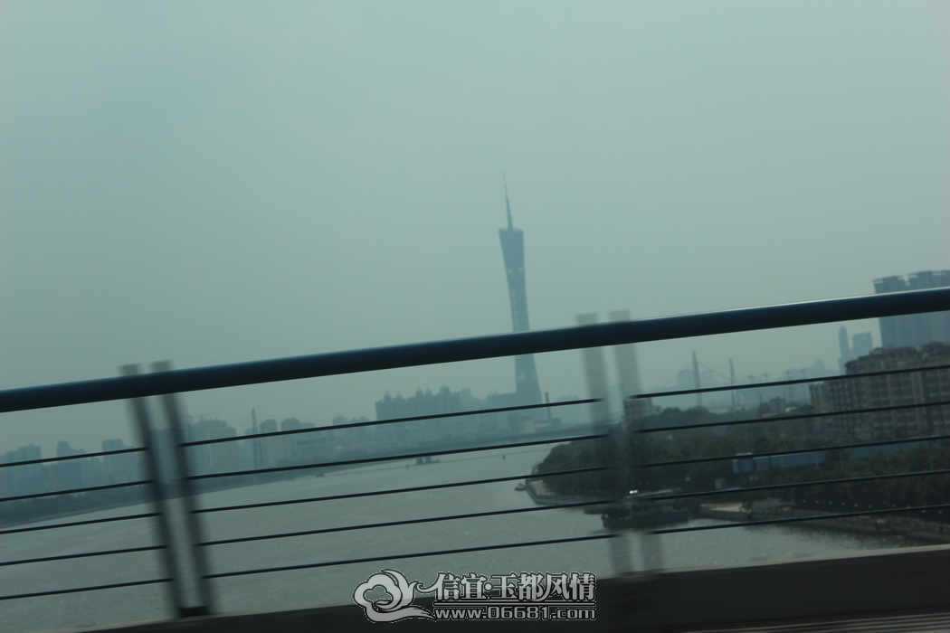 IMG_4118.JPG