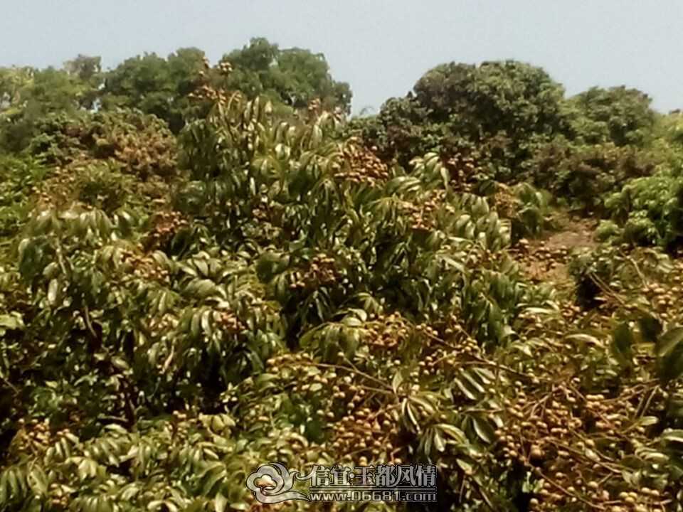 QQͼƬ20140706091557.jpg