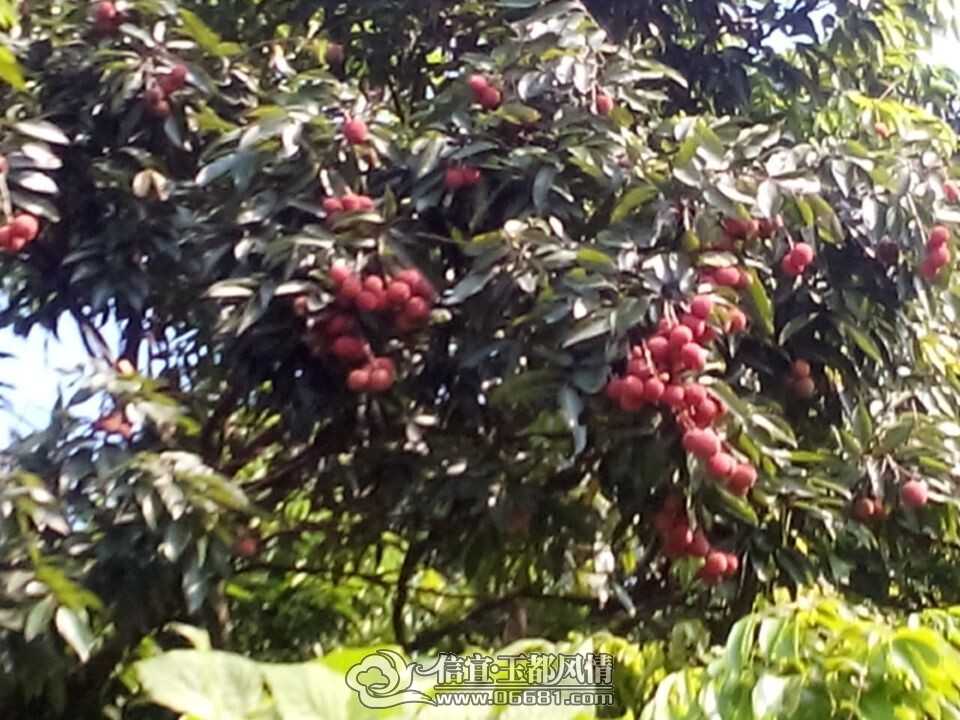 QQͼƬ20140706091625.jpg