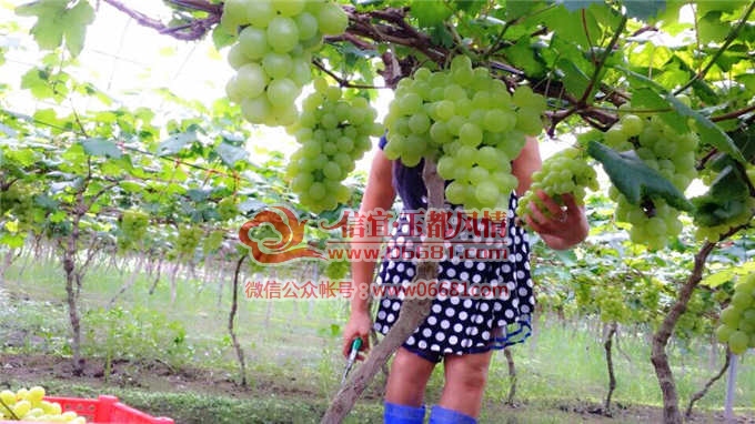QQͼƬ20150528121046.jpg