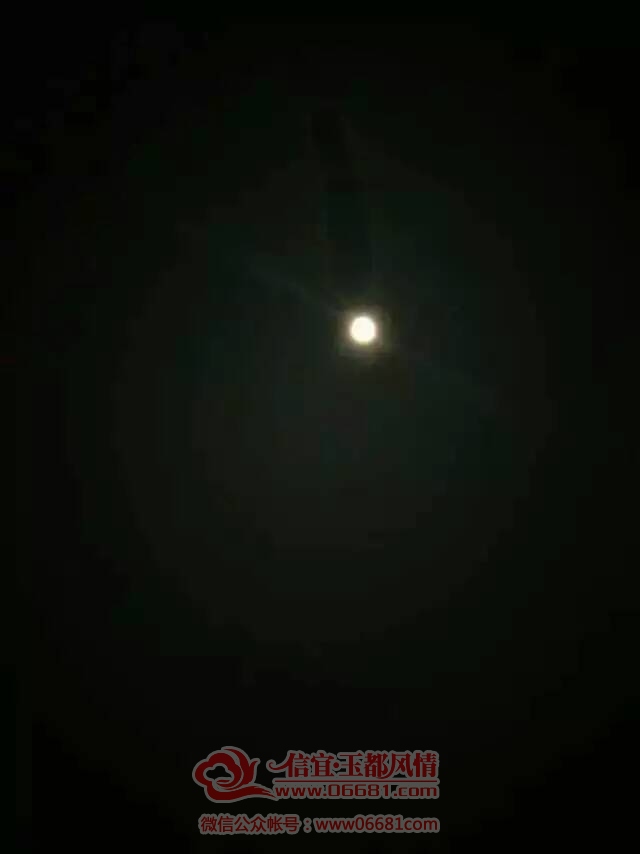 ���ﺣ�����»