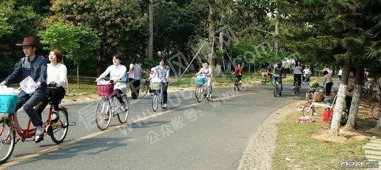 t01af93a8dae5871304.jpg