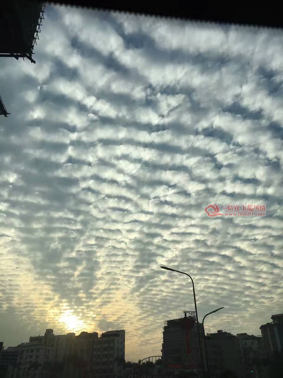 74935256346668113.jpg