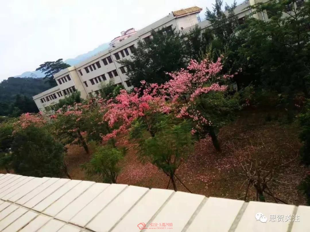 ΢��ͼƬ_20181120093055.jpg