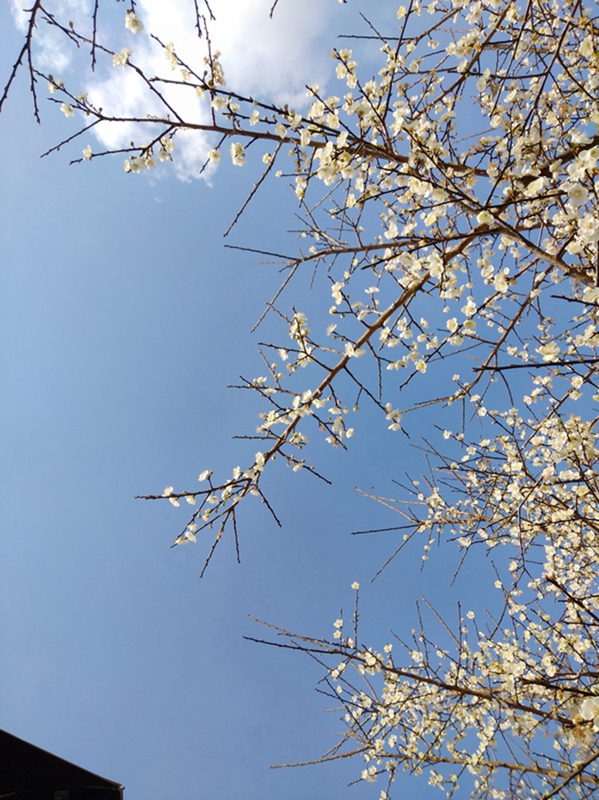 ΢��ͼƬ_20190113164925.jpg