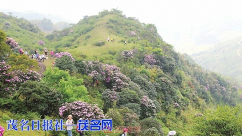 m_e67db39ce11a89bc287bf9c24d8586a5.jpg