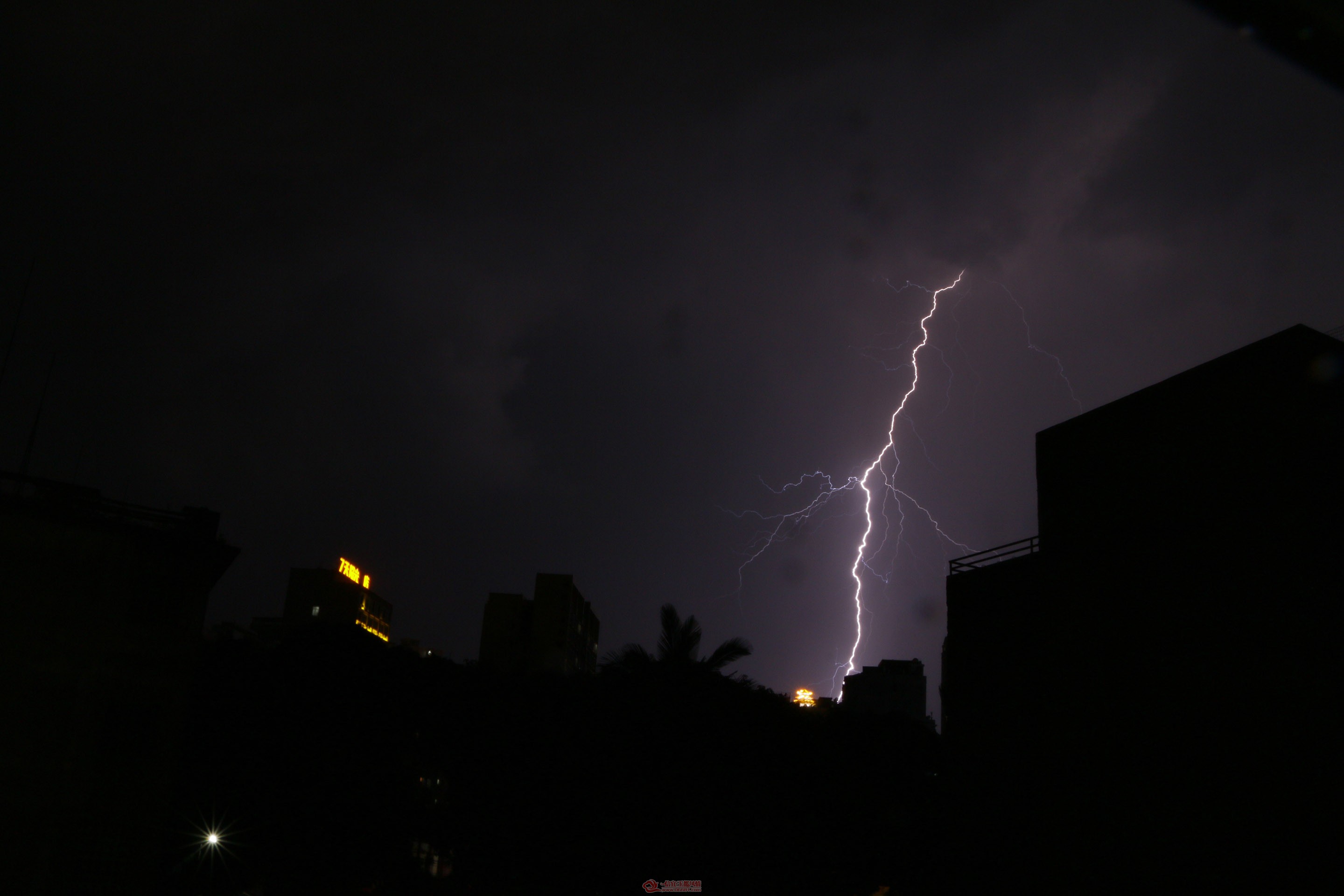 _MG_58776.jpg.jpg