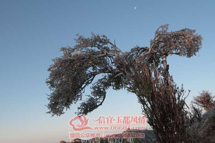 ΢��ͼƬ_20191220113359.jpg