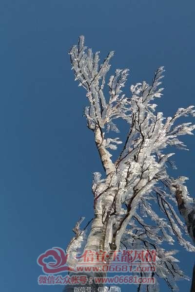 ΢��ͼƬ_20191220113404.jpg