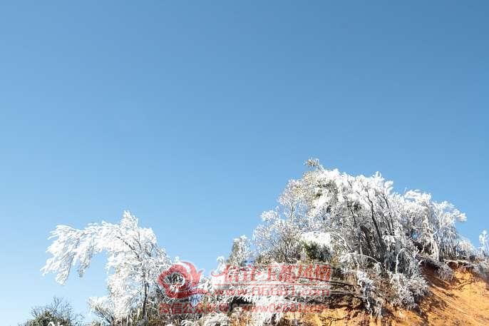 ΢��ͼƬ_20191220113446.jpg