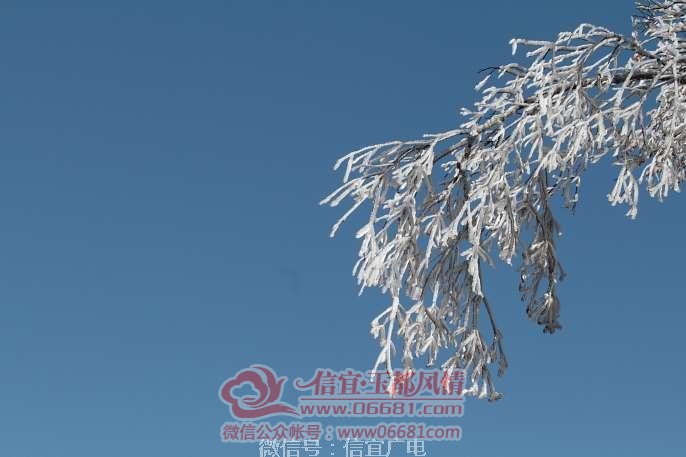 ΢��ͼƬ_20191220113451.jpg