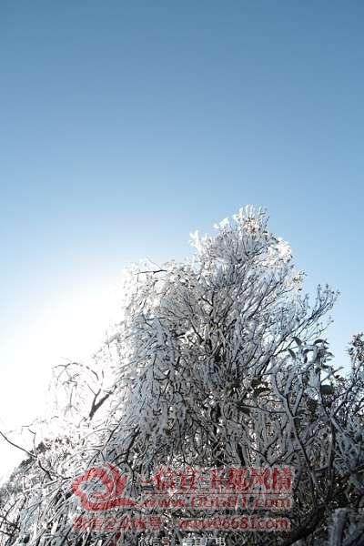 ΢��ͼƬ_20191220113509.jpg