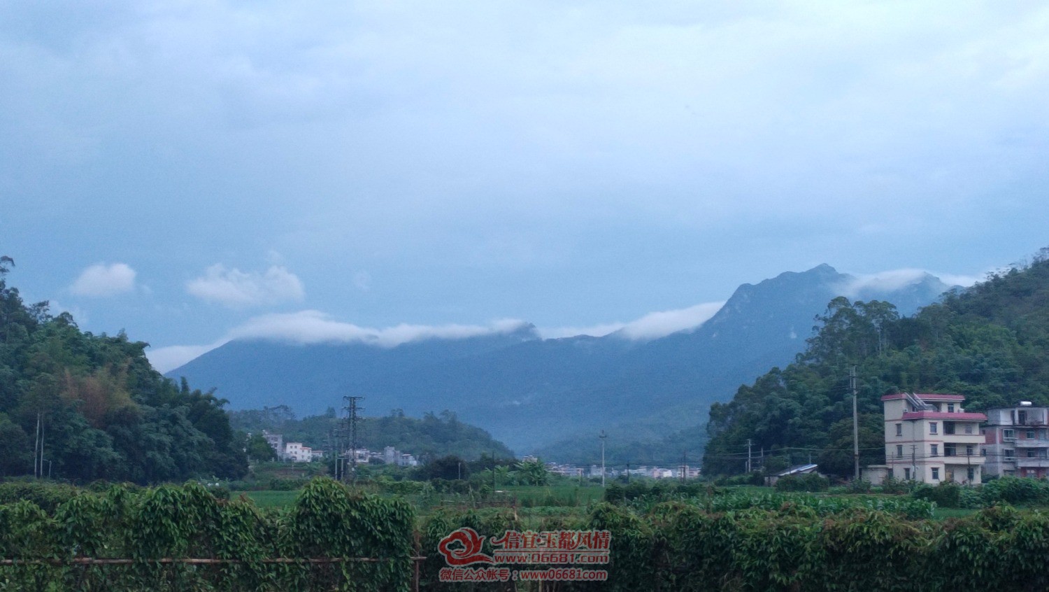 IMG_20210807_190844.jpg