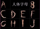 ������ĸ���