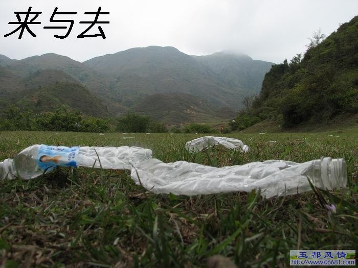 ����Ǯ�Ű���ƺ