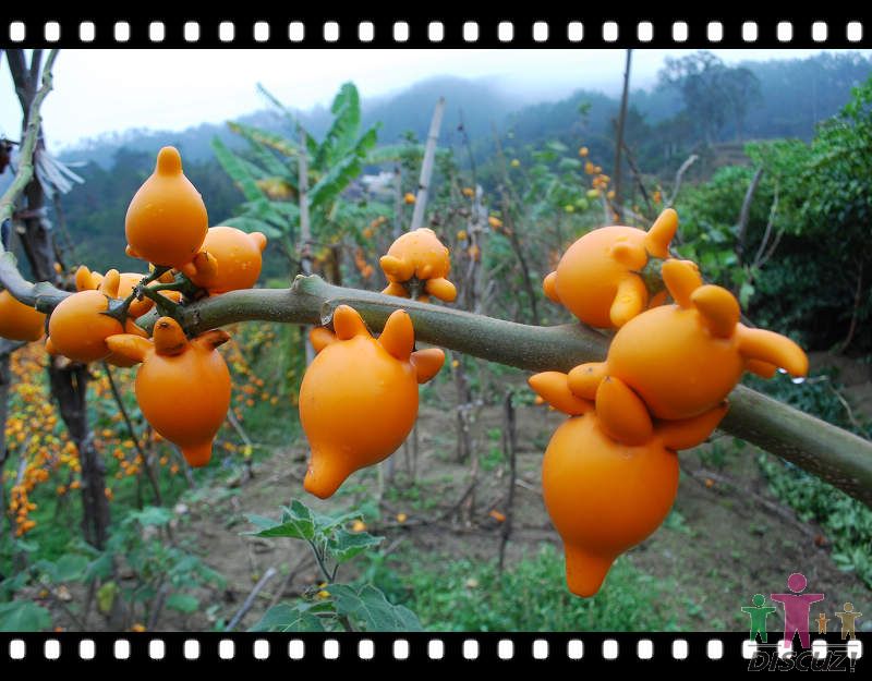 �ƽ�� 003.jpg
