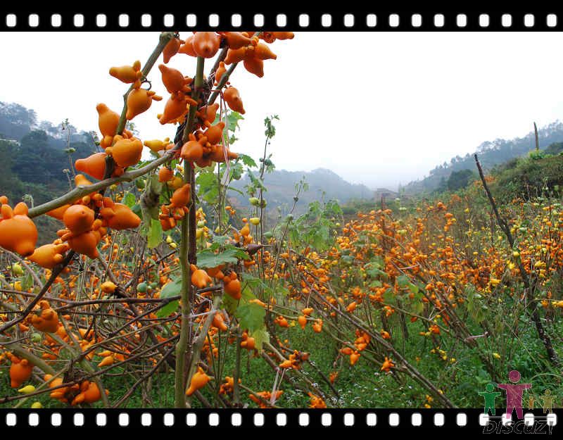 �ƽ�� 038.jpg