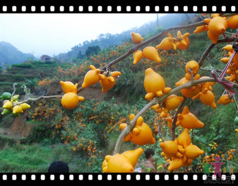 �ƽ�� 032.jpg