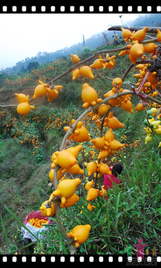 �ƽ�� 033.jpg