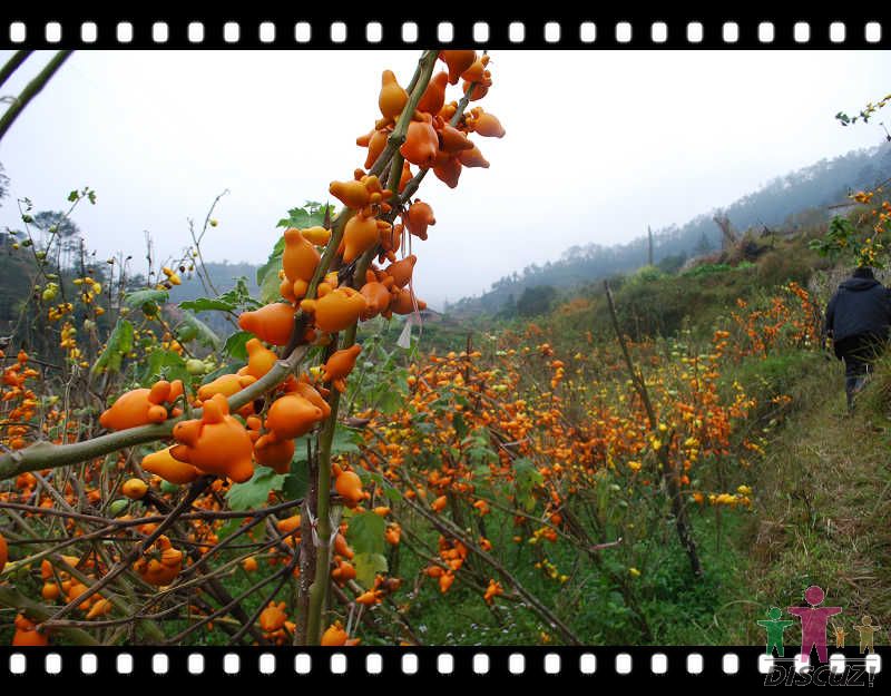 �ƽ�� 037.jpg