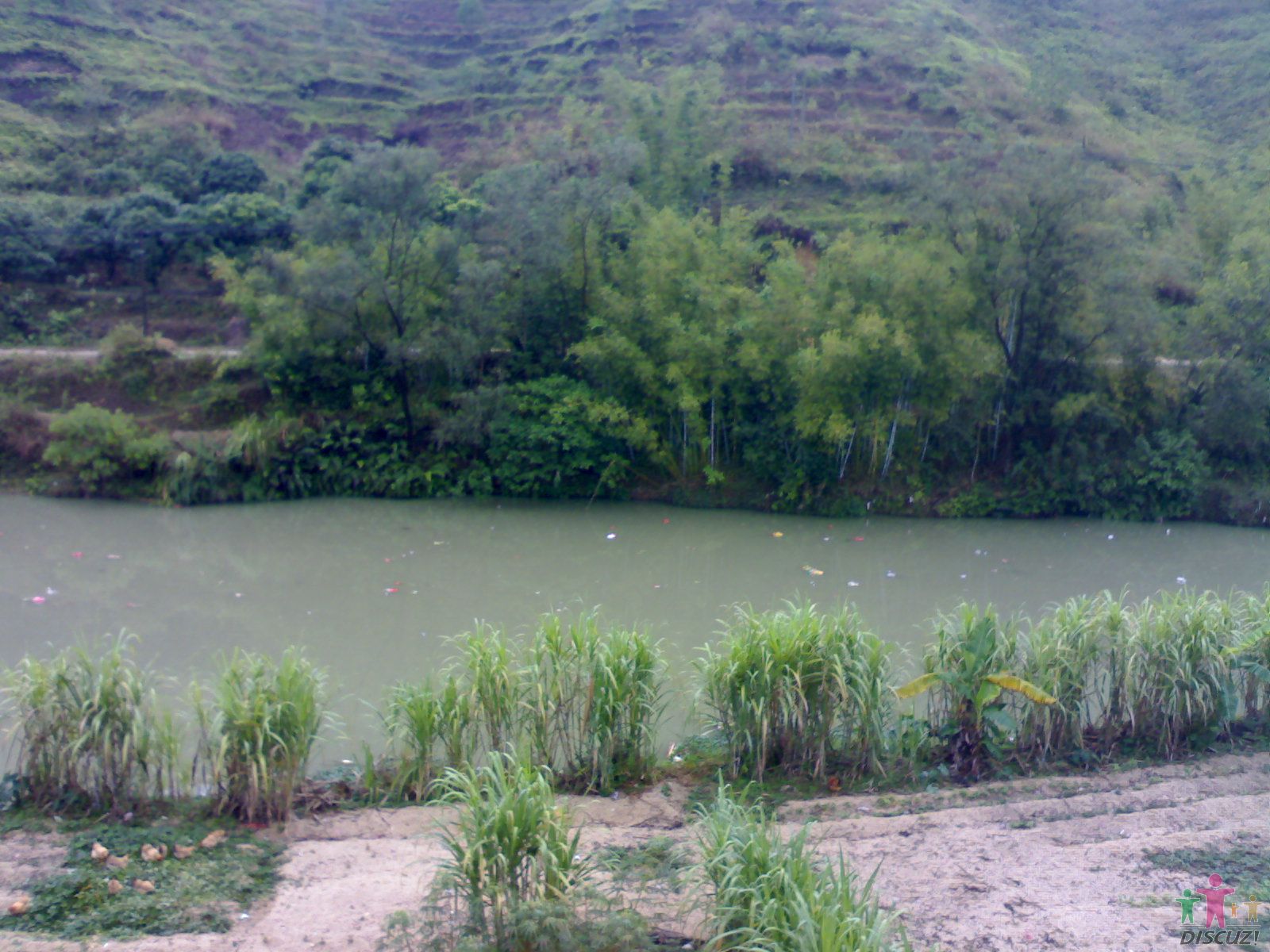 20100102593.jpg