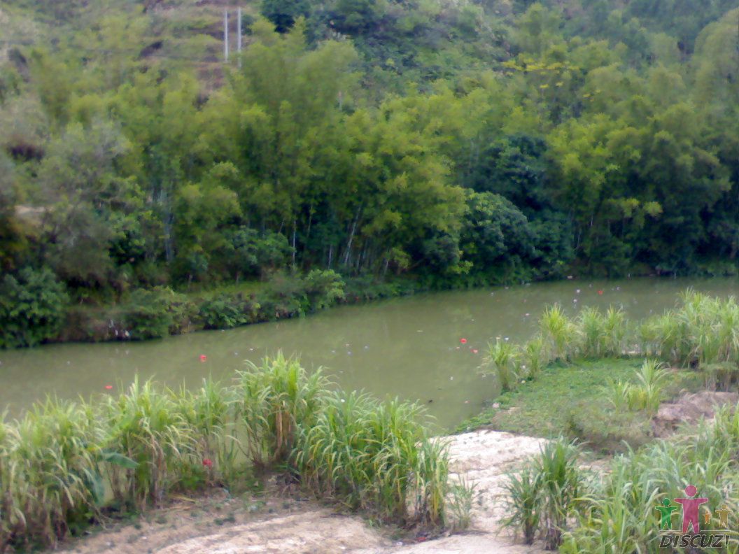 20100103601.jpg