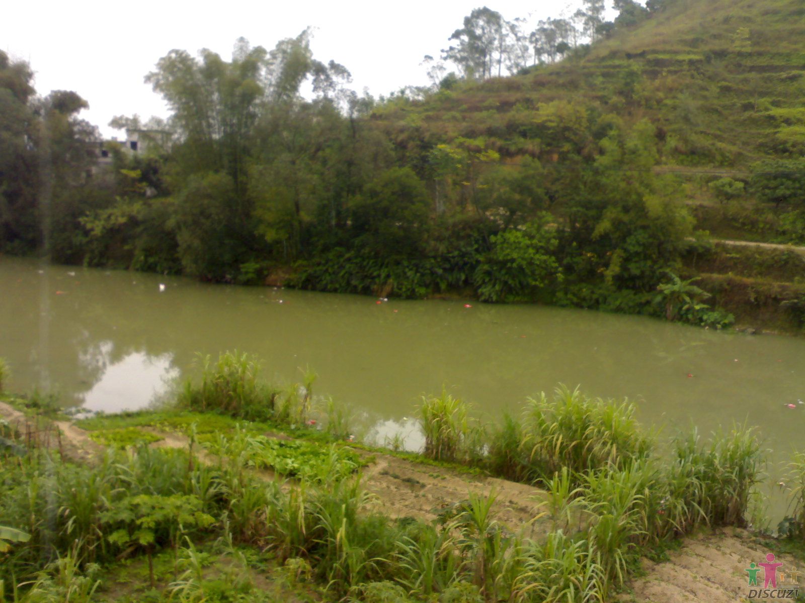 20100102594.jpg