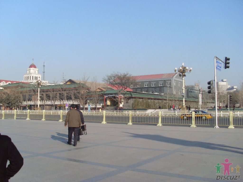 SL376679.JPG