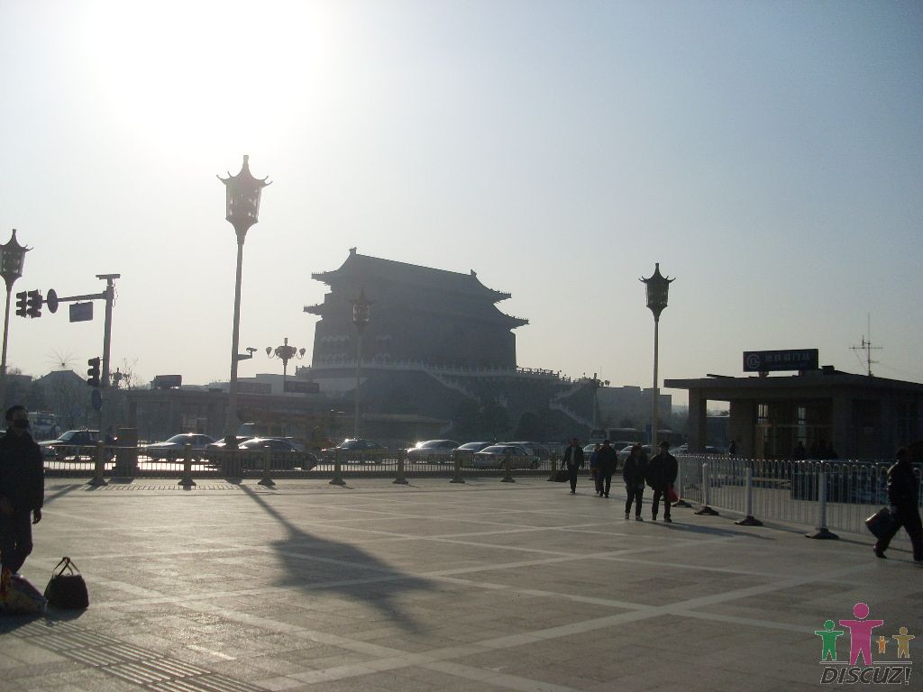 SL376684.JPG