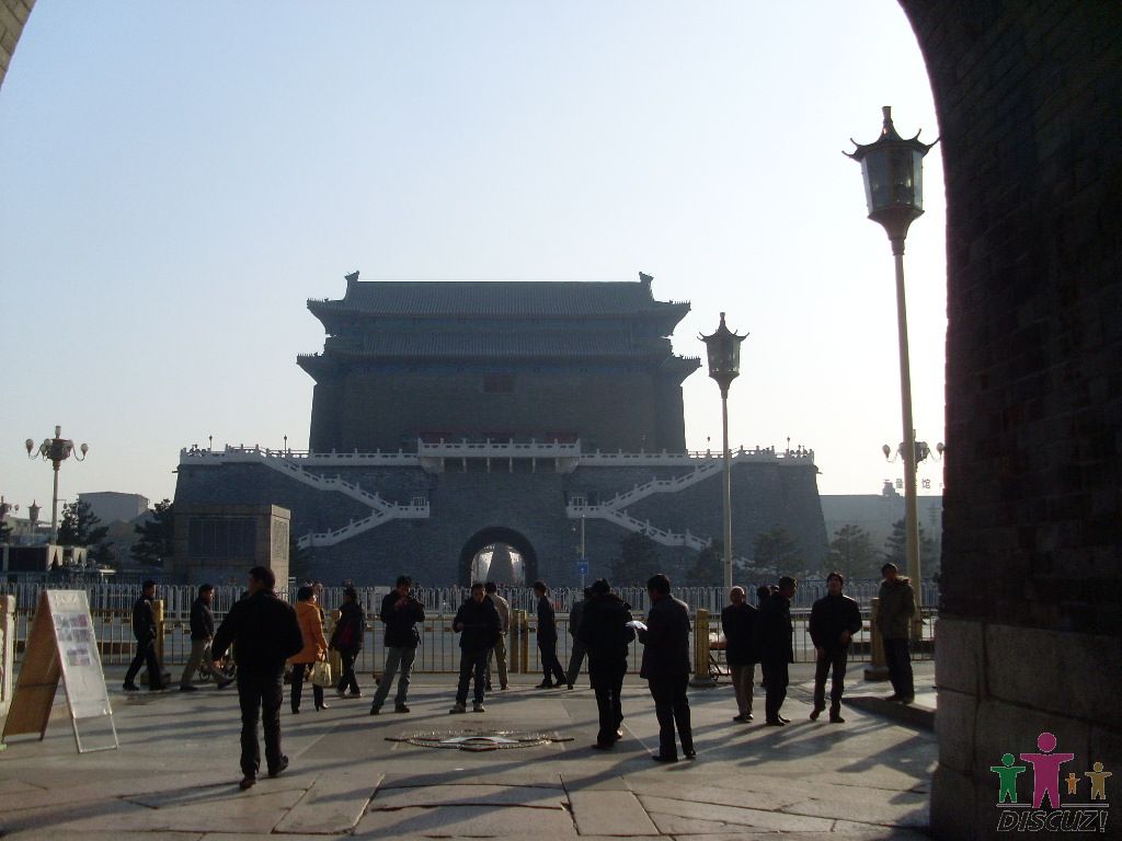 SL376698.JPG