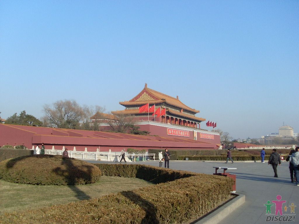 SL376756.JPG