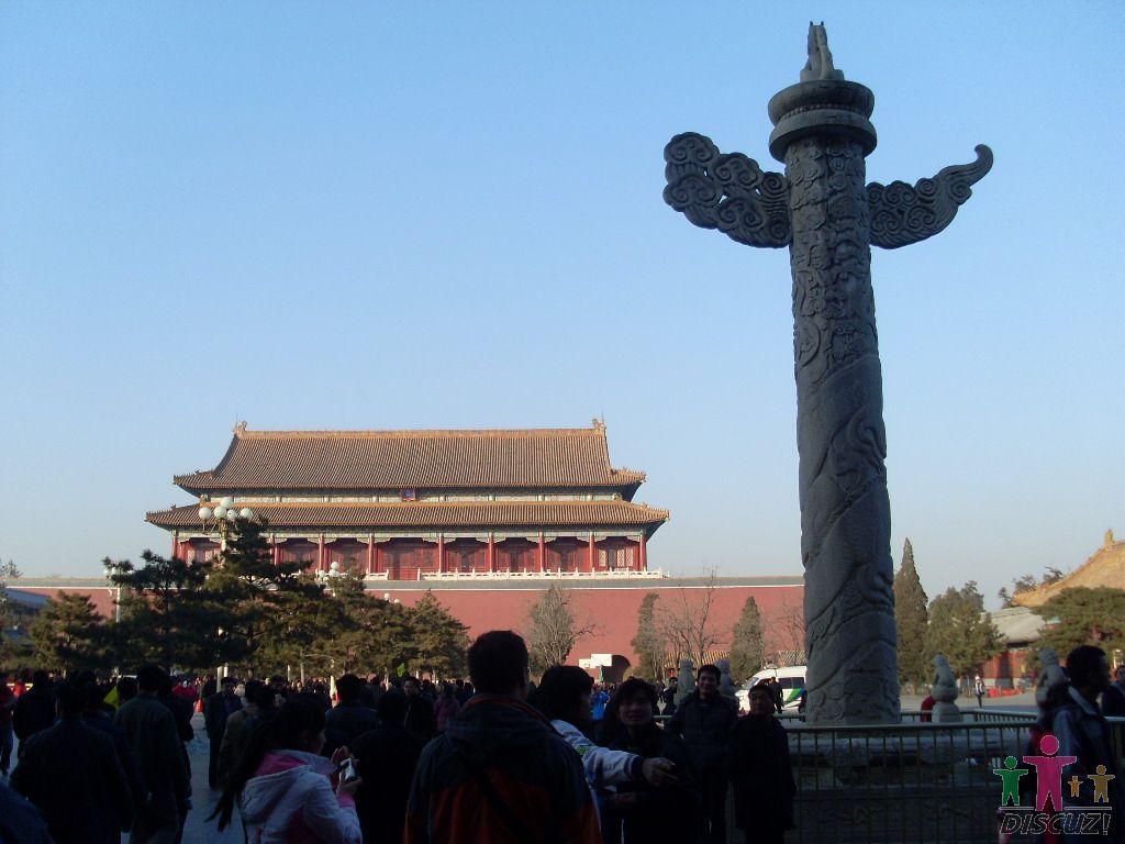 SL376770.JPG