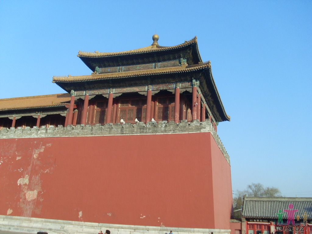 SL376786.JPG