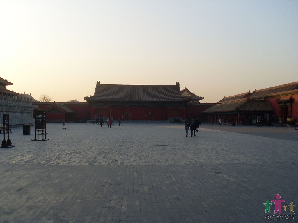 SL376822.JPG
