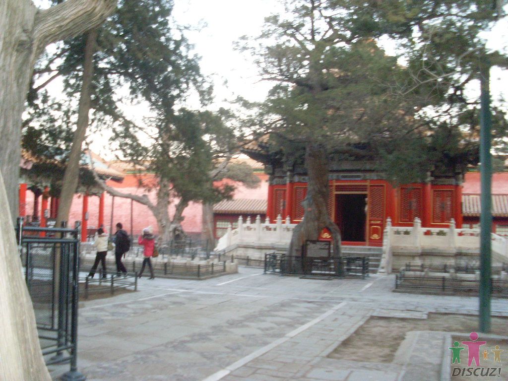 SL376843.JPG