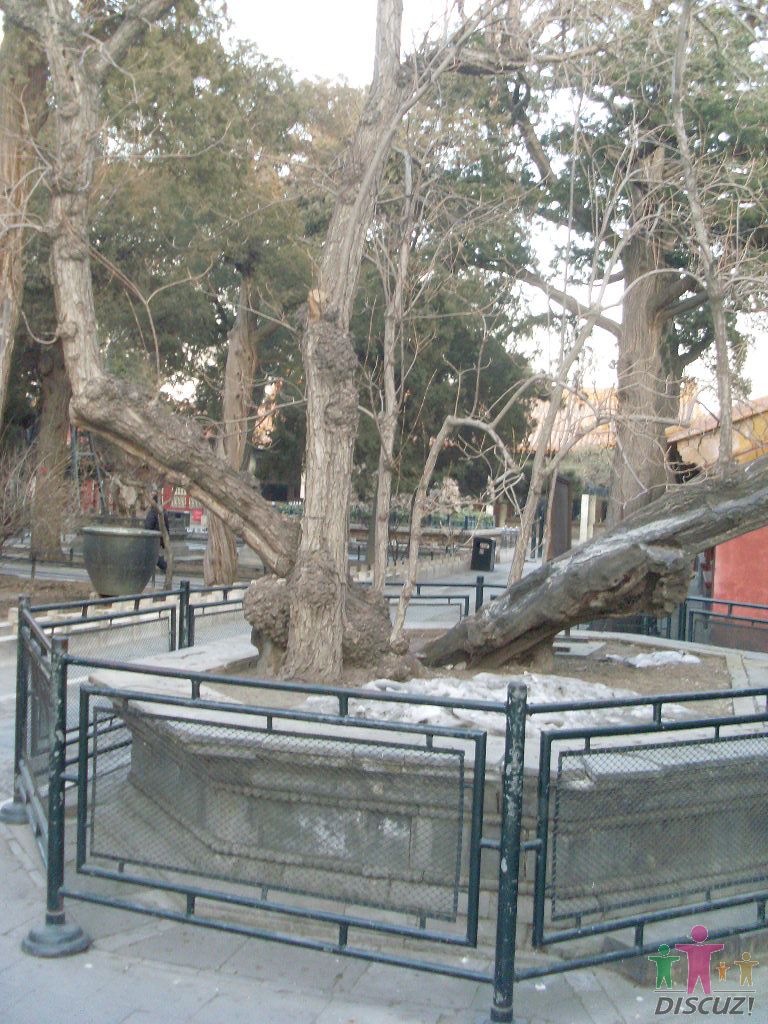 ��ת SL376841.JPG