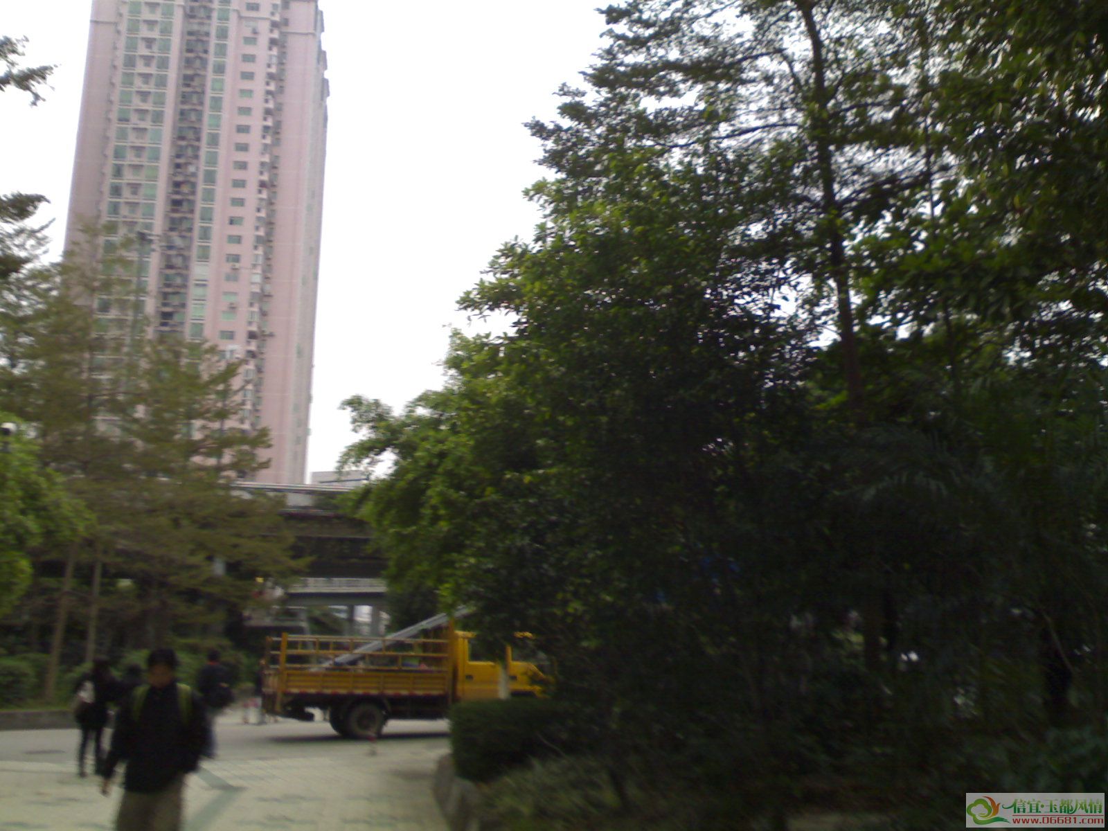 20100107063.jpg