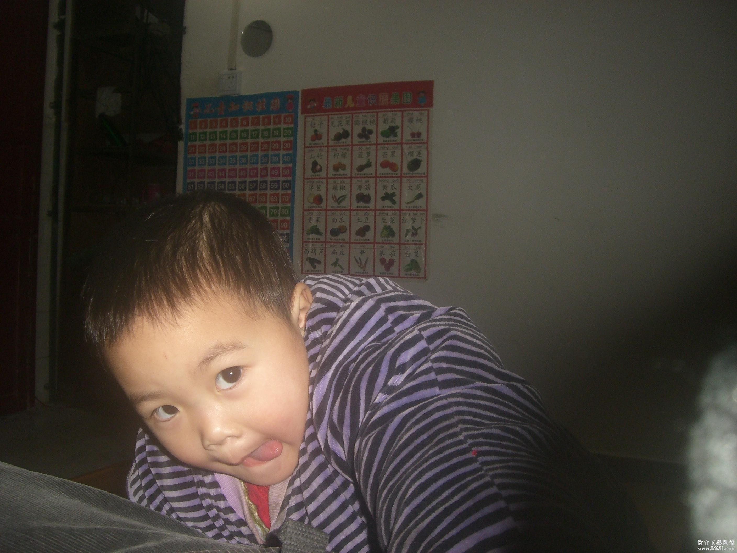 CIMG8913.JPG