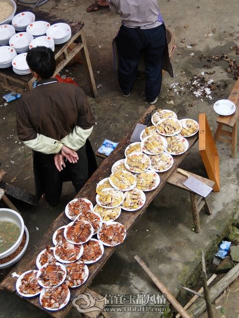 DSC00236.JPG