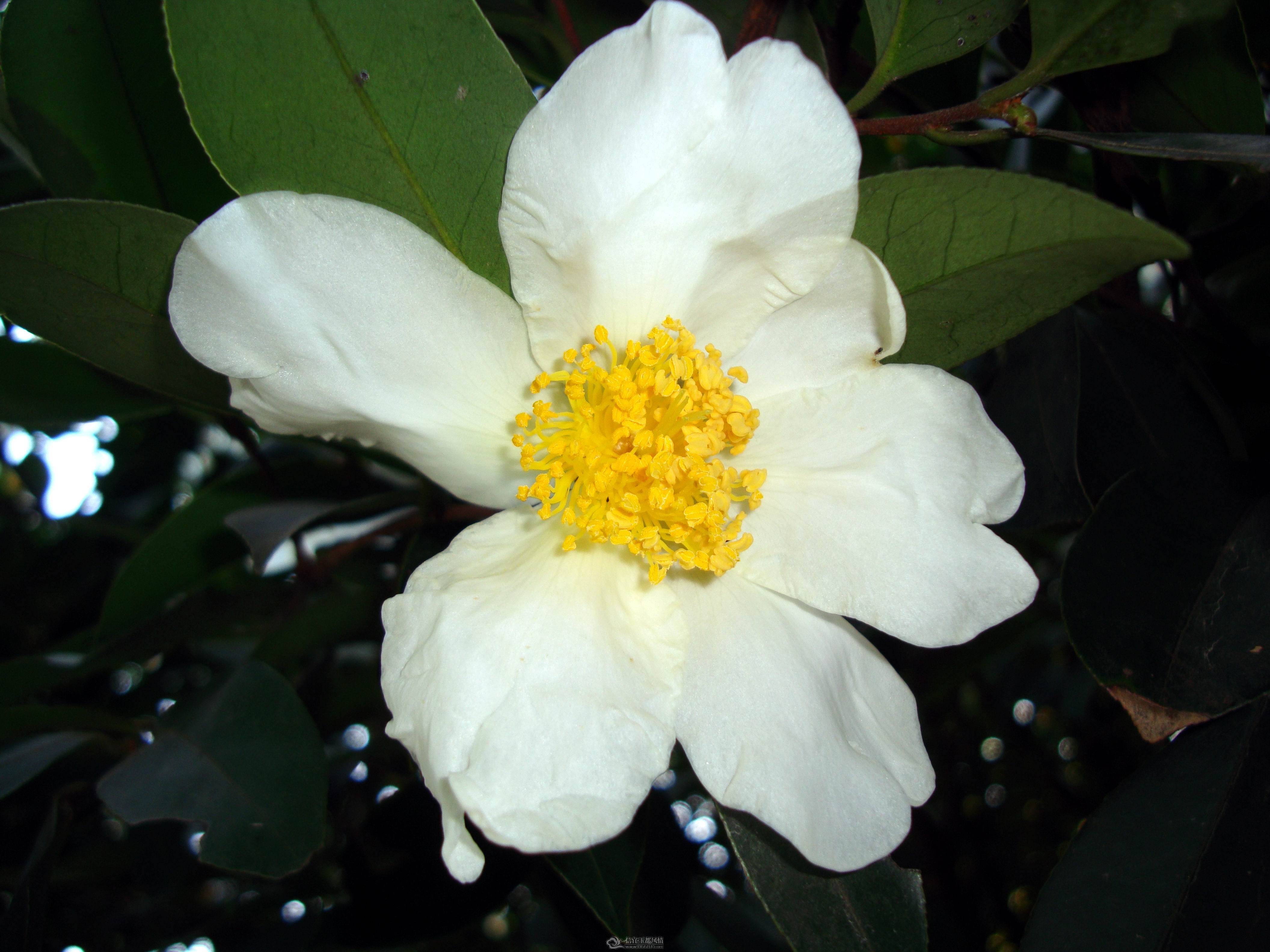 DSC03187.JPG